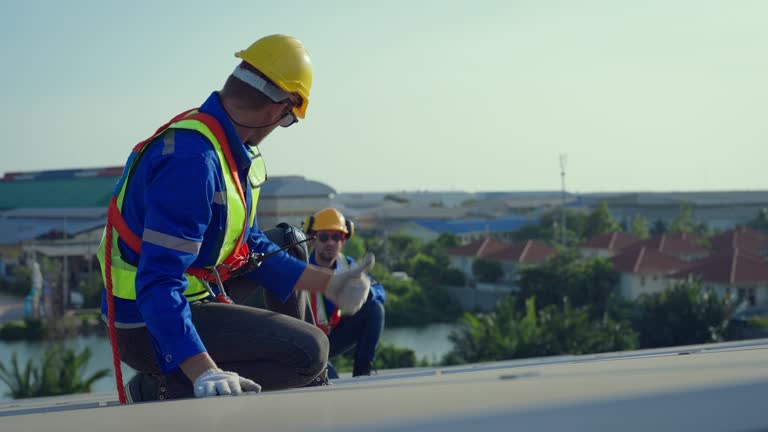 Best Roof Moss and Algae Removal  in Palmview, TX