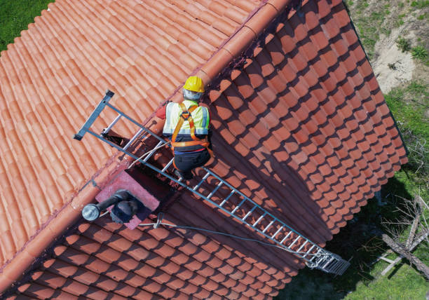 Best Commercial Roofing Services  in Palmview, TX